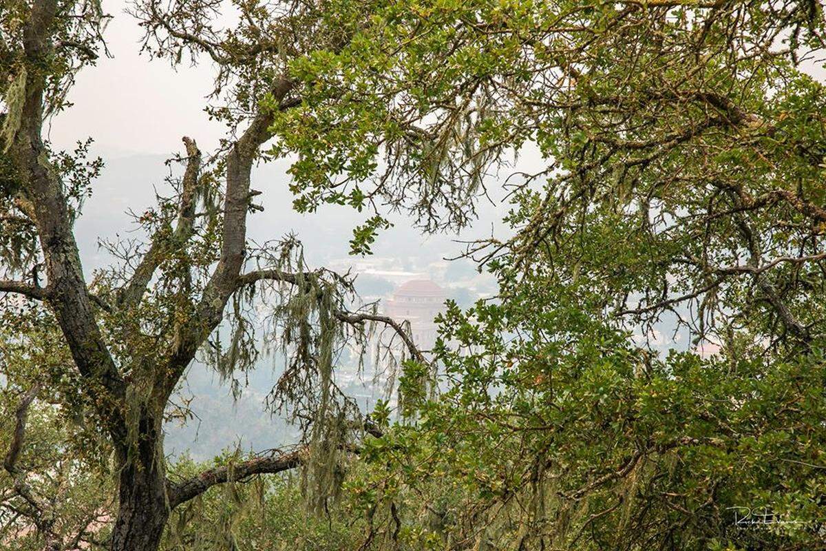 A partially-obscured Atascadero City Hall as seen from atop of Pine Mountain on Wednesday, Aug. 19, 2020.