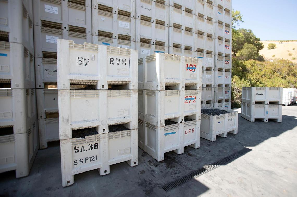 McPrice Myers winery in Paso Robles stores about five tons of Paper Street Vineyard cabernet sauvignon grapes, farmed by the Dusi family, on Thursday, Sept. 1, 2022.