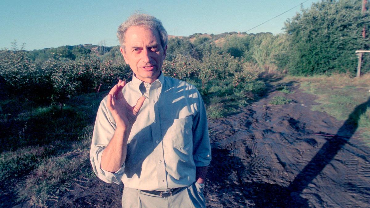 John DeVincenzo designed his apple orchard in the Avila Valley so that a path could follow either side of San Luis Creek on Aug. 18, 1999.