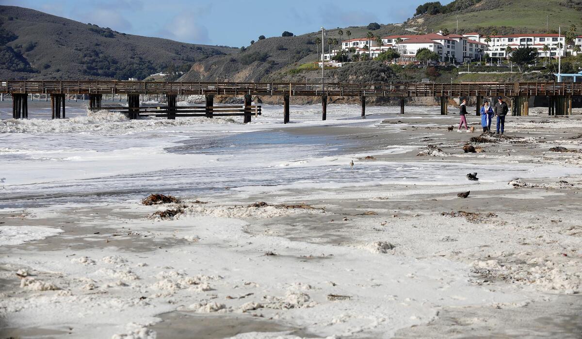 Large, foamy waves can be seen in Avila Beach on Sunday, Dec. 11, 2022, following a powerful storm.