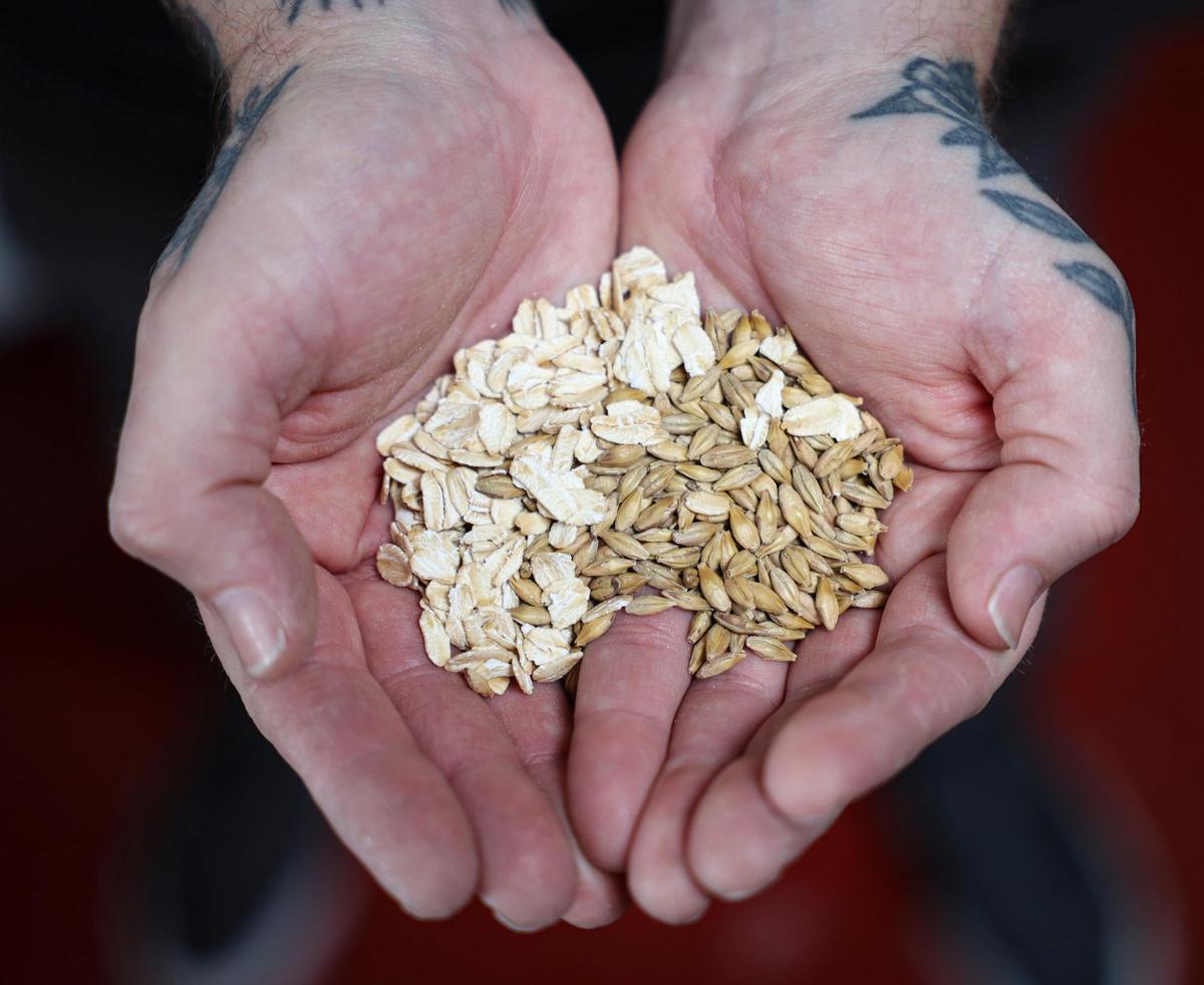 Joe Florence and Max Lachowyn holds two row barley and rolled oats, brewing ingredients, seen here onFeb. 10, 2025.