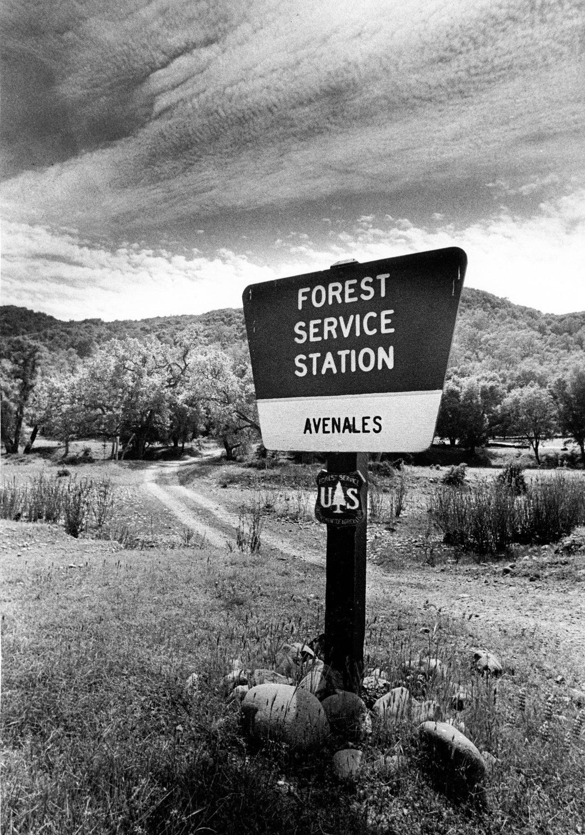 The Avenales area near Highway 58. Originally published in April 1988 with a series of stories in the Telegram-Tribune on the Los Padres National Forest.