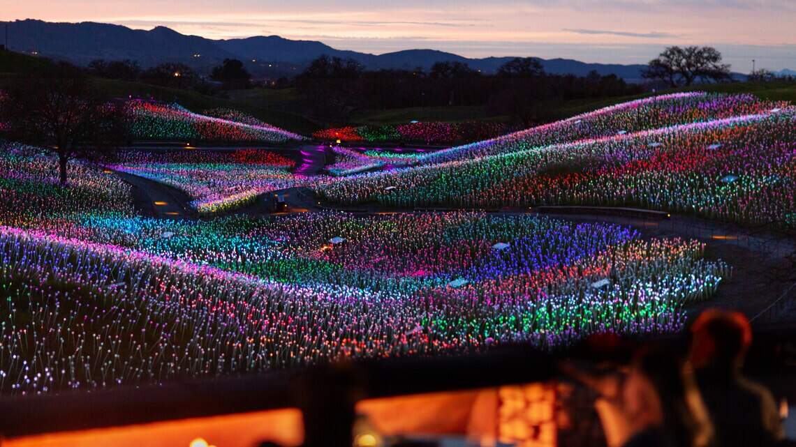 Sensorio to welcome millionth visitor this summer. How it became a phenomenon