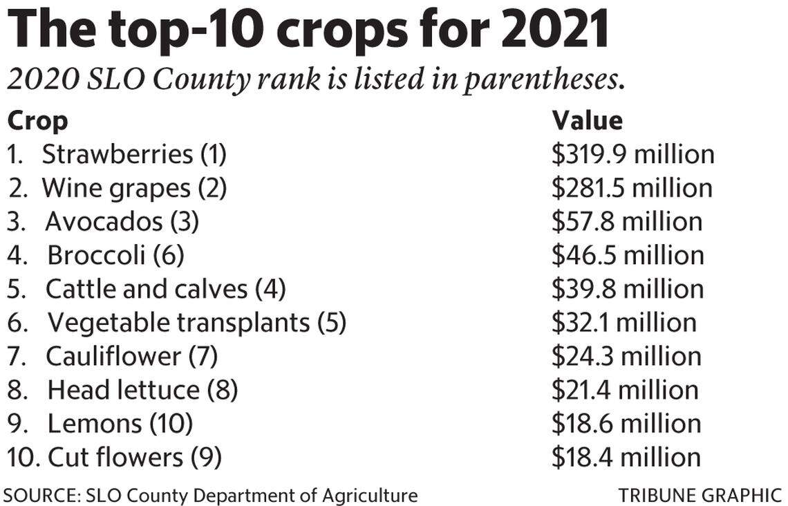 2021 top crops