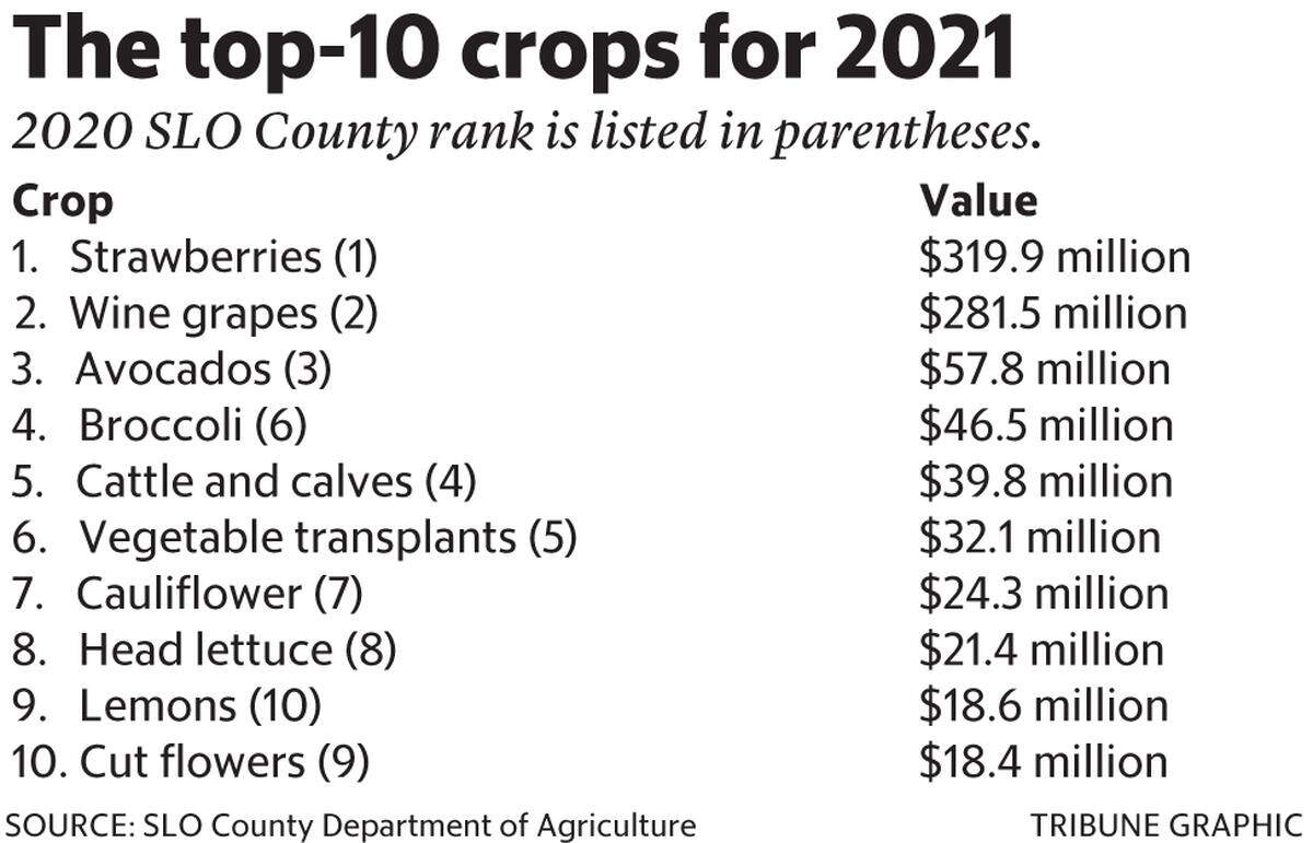 2021 top crops