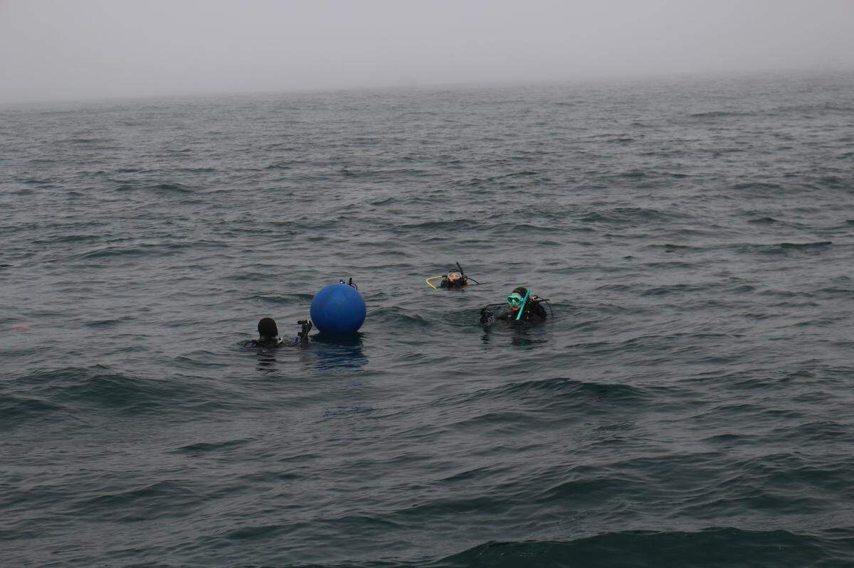 NOAA divers prepare to dive and check out an underwater sound recorder they placed in the proposed Chumash Heritage National Marine Sanctuary on July 12, 2023.