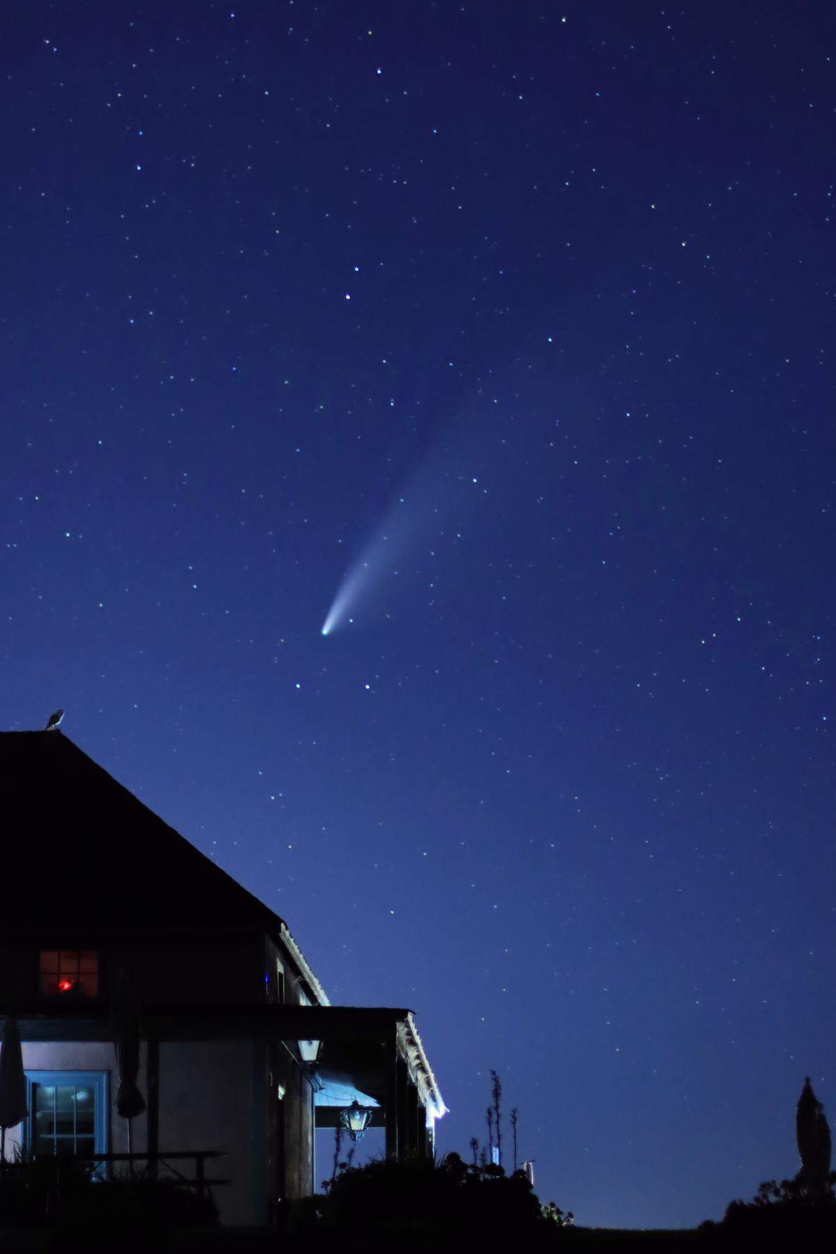 Comet Neowise at Talley El Rincon Adobe with Owl on Roof!