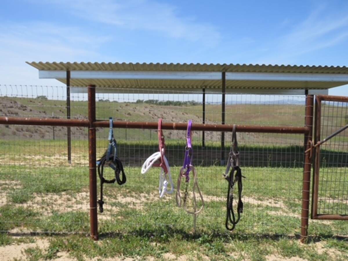 Redwings Horse Sanctuary is moving from Lockwood to Paso Robles.
