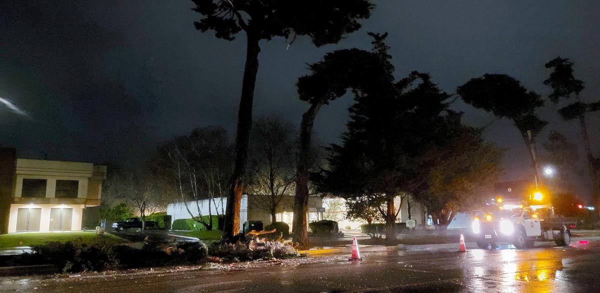 One of three trees down on South Higuera Street at Tank Farm Road in San Luis Obispo.. A powerful storm brought wind and rain to San Luis Obispo County, causing traffic collisions, downed trees, flooding, electrical outages and the Vine Street Victorian Showcase in Paso Robles was canceled.