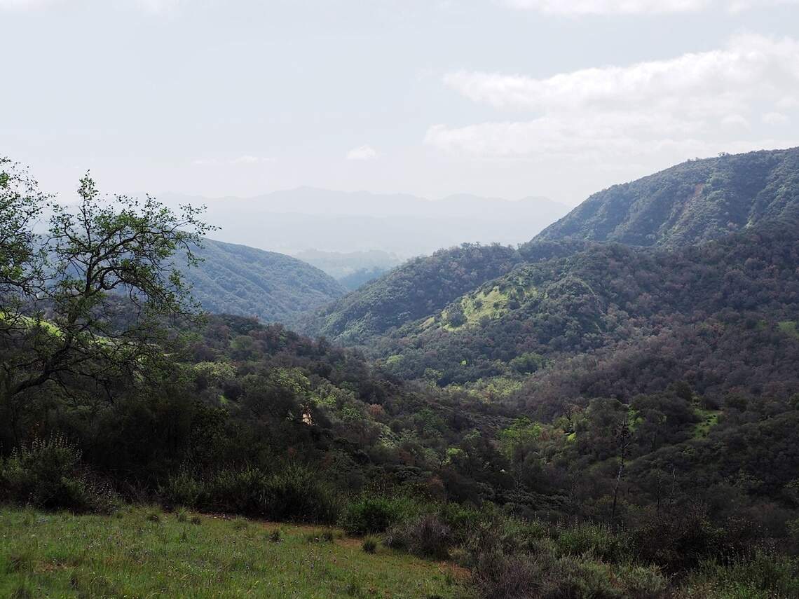 Trump wants to open Los Padres Forest to logging, roads. Locals fight back