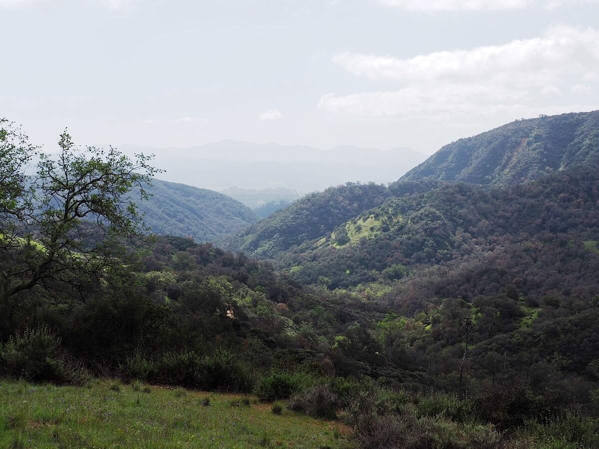 A view of land that The Wilderness Land acquired and then transferred to the United States Forest Service that is now part of the Los Padres National Forest around Trout Creek in San Luis Obispo County.
