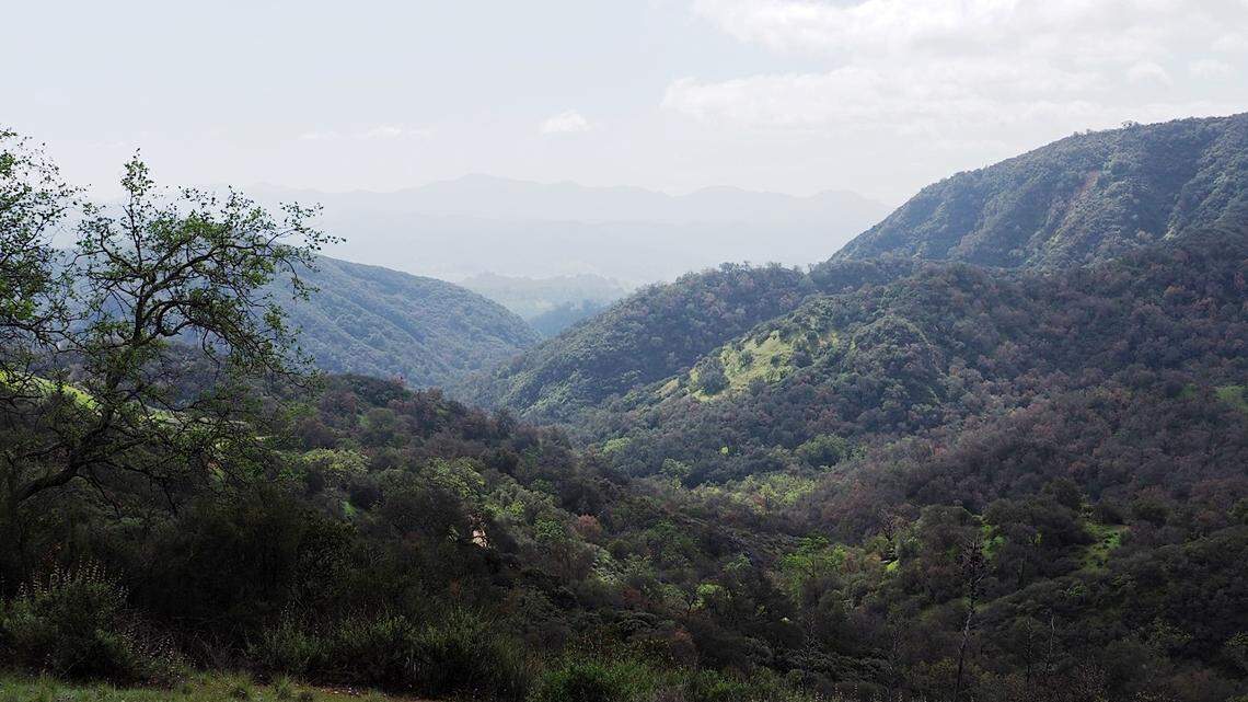 Trump wants to open 600,000 acres of Los Padres Forest to logging and roads