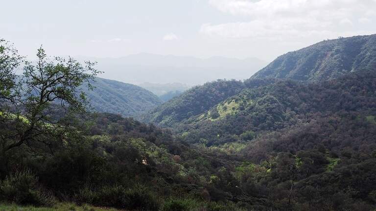 Trump wants to open Los Padres forest to logging. How to comment on the plan