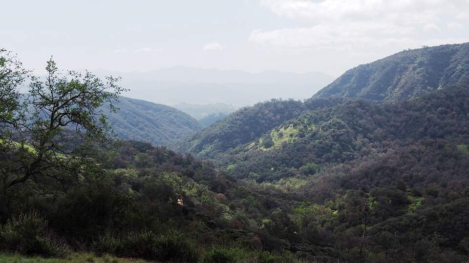 Trump wants to open Los Padres Forest to logging, roads. Locals fight back