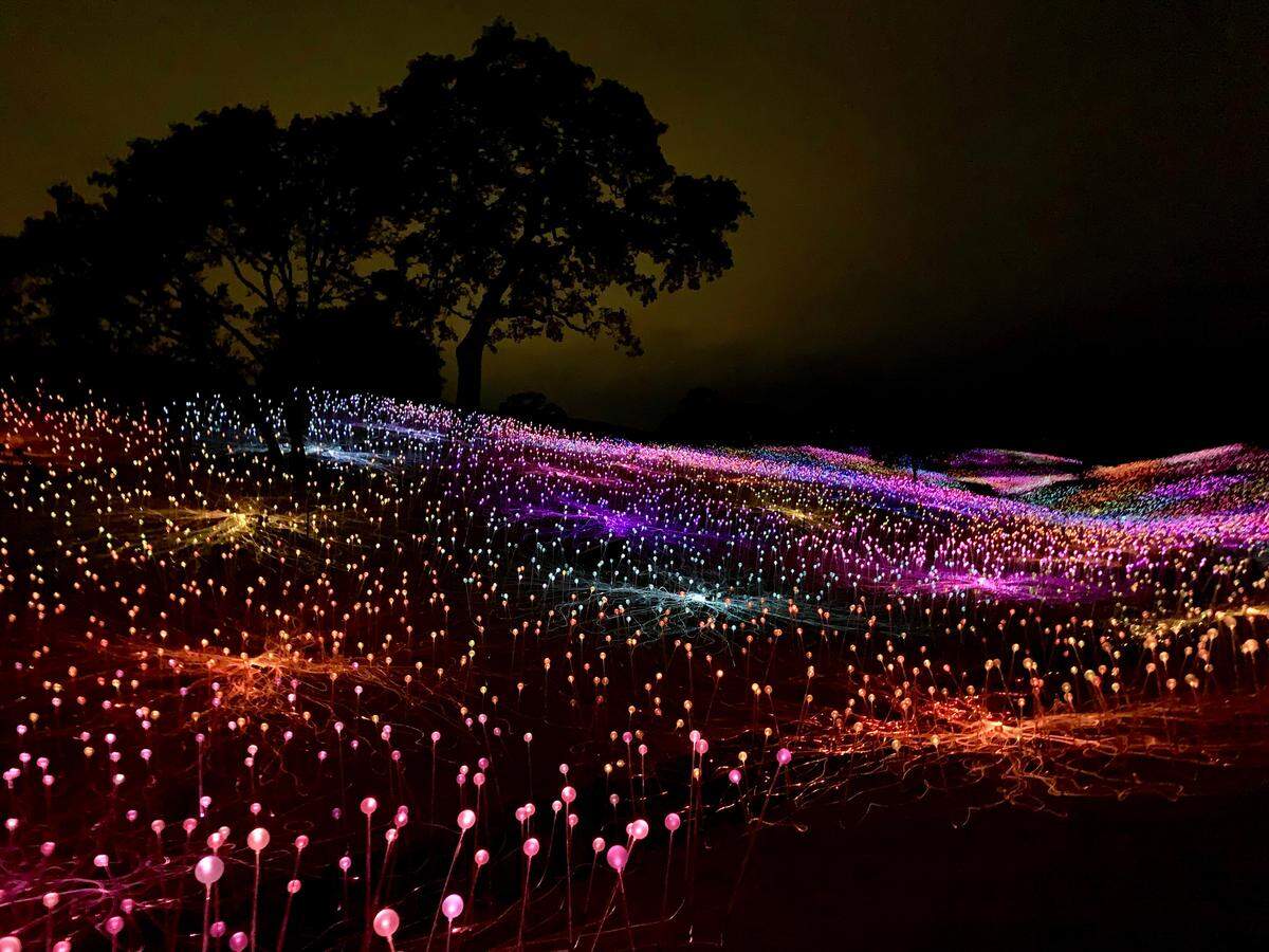 The Field of Light at Sensorio is made up of more than 58,000 stemmed spheres lit by fiber-optic cables.