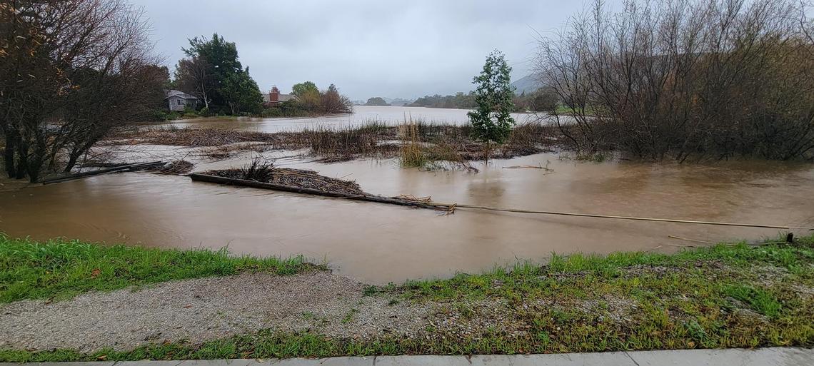 Laguna Lake is almost to the sidewalk at Madonna Road in San Luis Obispo.
