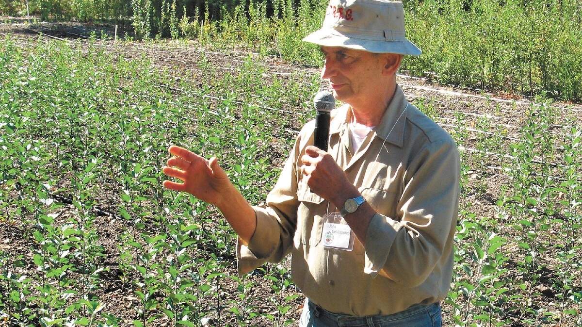 DeVincenzo, pictured in September 2007, grew thousands of hybrid apple trees on this plot in See Canyon.