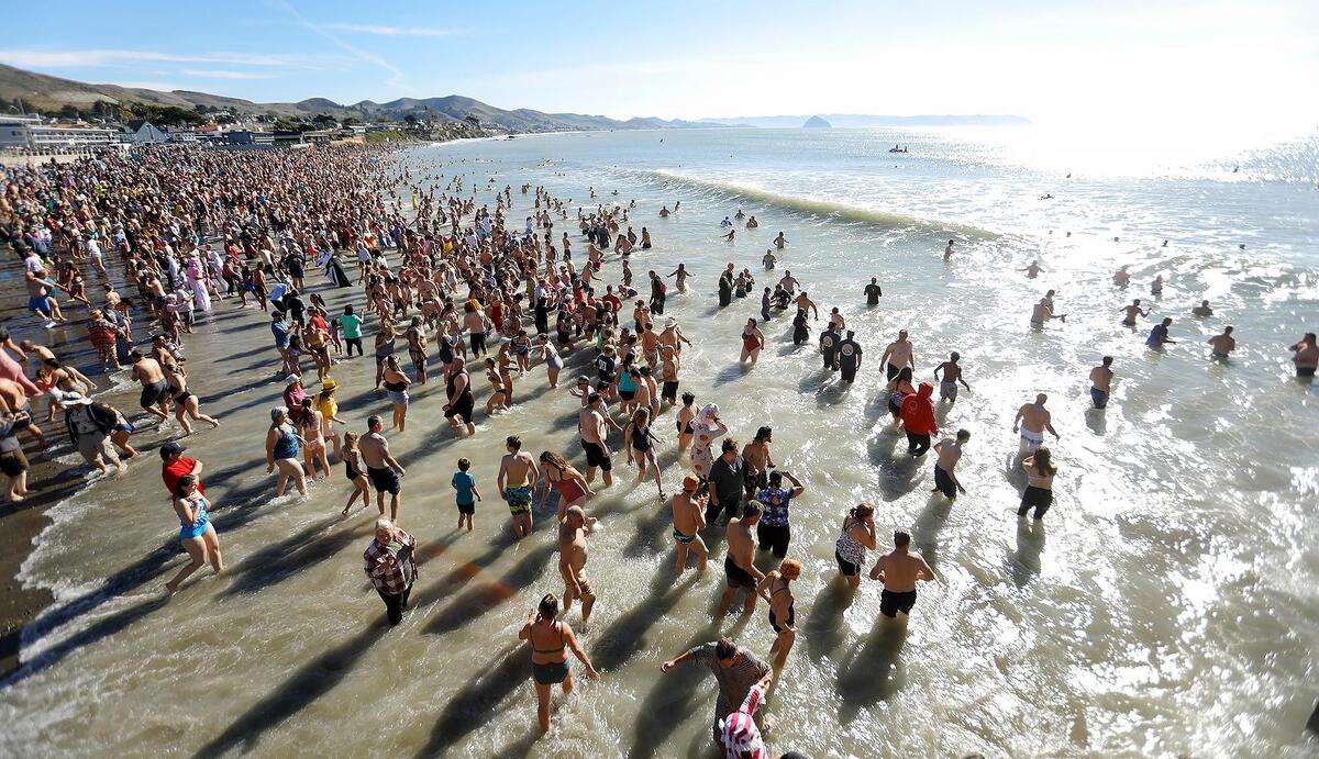Hundreds of brave participants braved water temperatures in the low 50s to welcome the new year near Cayucos Pier.