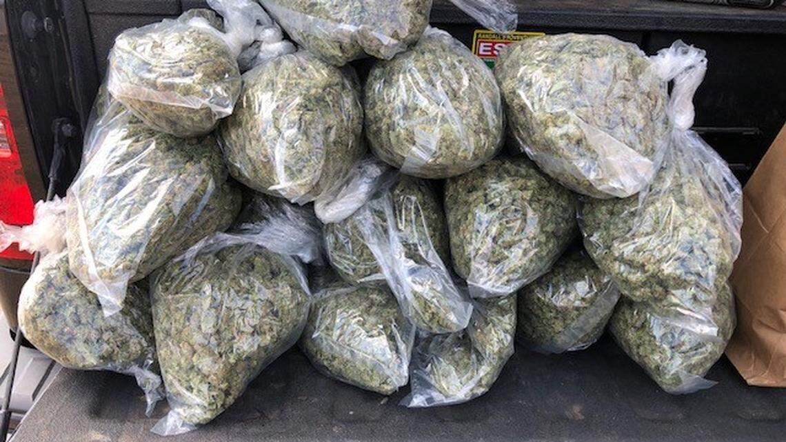 2 plead guilty in connection to illegal cannabis grow in Los Padres National Forest