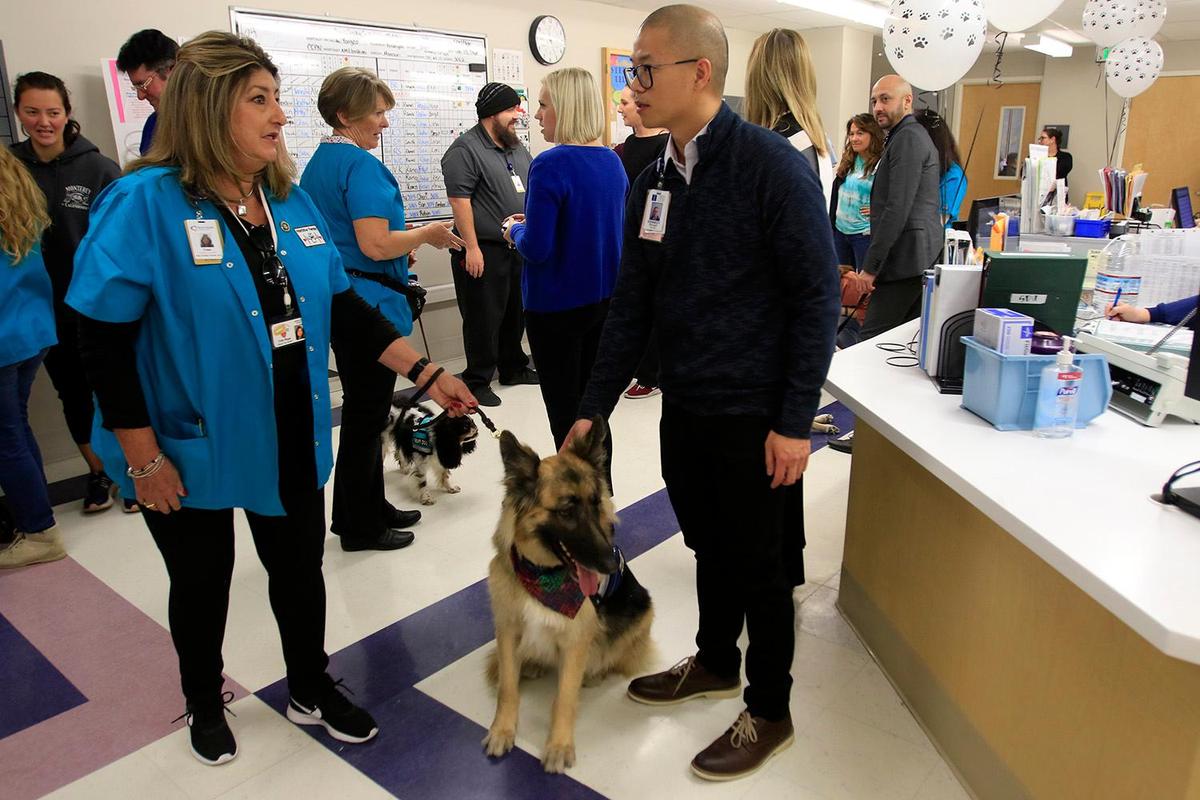 Handlers and hospital staff gather for an inauguration event. Sierra Vista Hospital has started a pet therapy program called Pawsitive Therapy for patients.