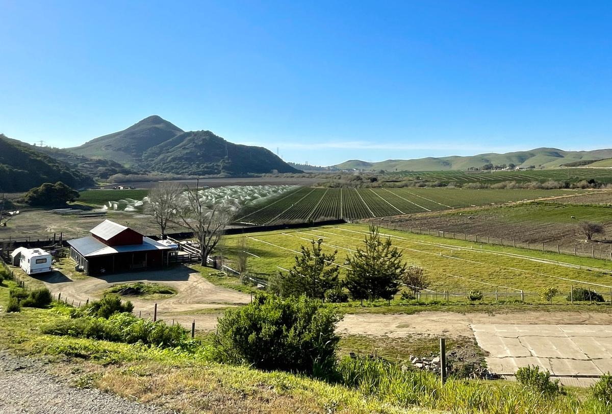 The proposed site of the Hydrostor energy storage site in the scenic Chorro Valley along Highway 1 near Morro Bay is currently zoned as agricultural land and hosts a variety of row crops year round.