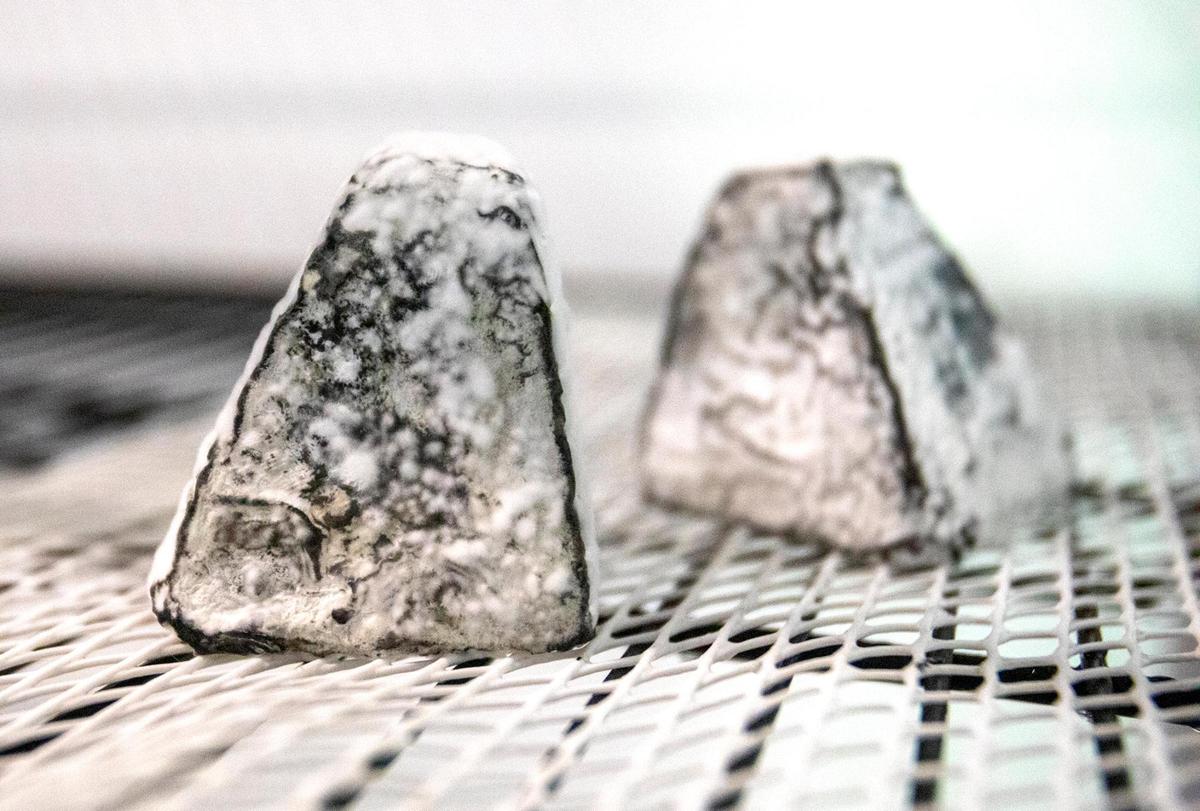 Kristy and Evan Bishop have opened Black Market Cheese Company, which opened for cheese tastings and farm tours in late September. The cheese is made on site using the goats and animals on the farm. This cheese is named Silver Lining.