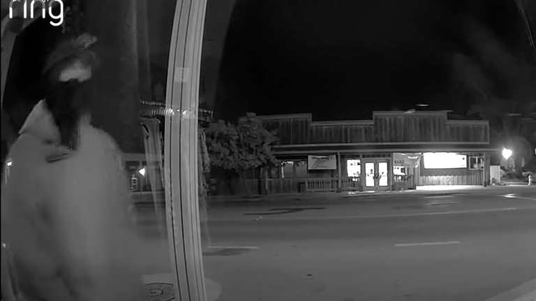 Masked burglar caught on video breaking into SLO County shop