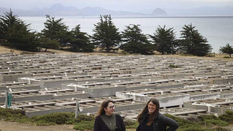 ytt Tribe gets big boost to buy Cayucos abalone farm. But time is running short