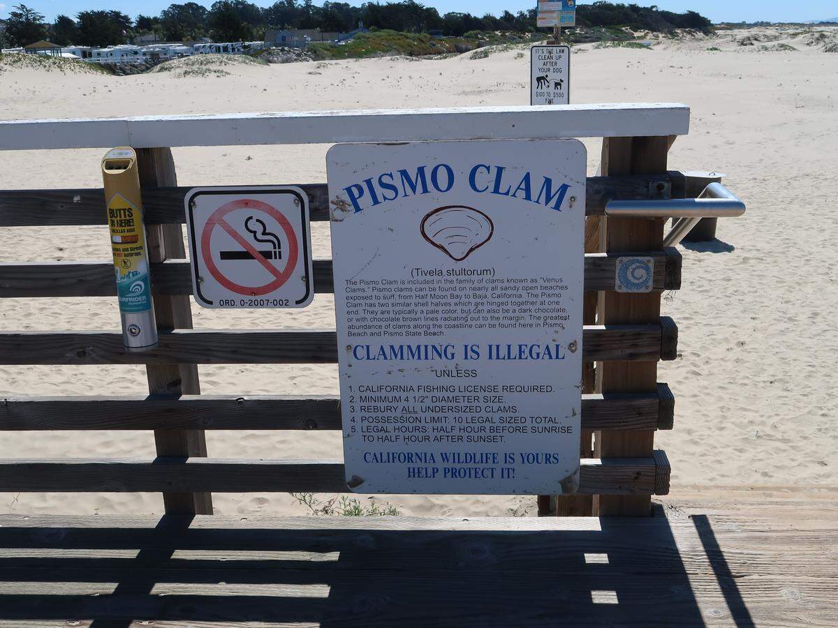 State Parks posts Pismo Clam information on signs at beach entrances.