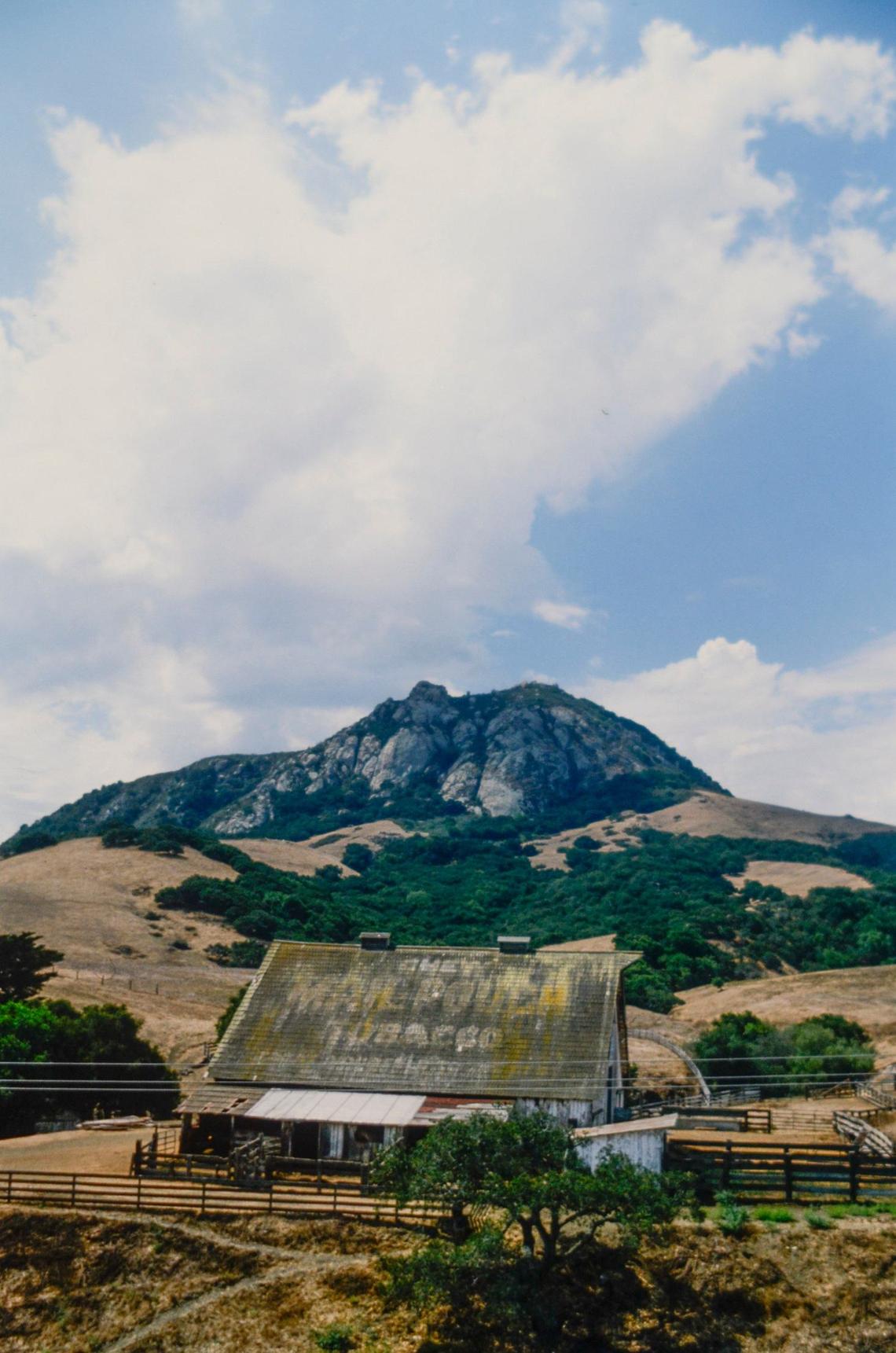 The Mail Pouch Tobacco Barn on Highway 1 at the base of Bishop Peak carried a chewing tobacco advertisement on the roof for many years. It was a popular subject for artists but when the roof deteriorated, the ad was not replaced and the advertising campaign ended a few years later.