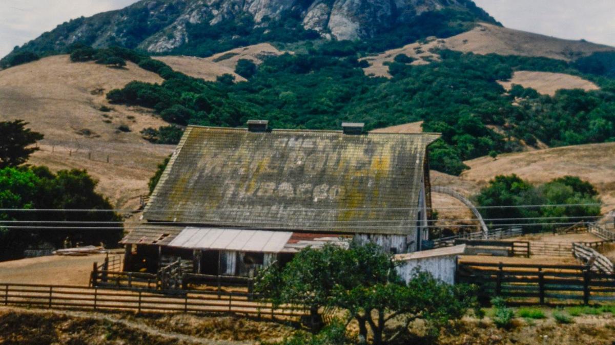 Mail Pouch Tobacco barn was once SLO County CA landmark