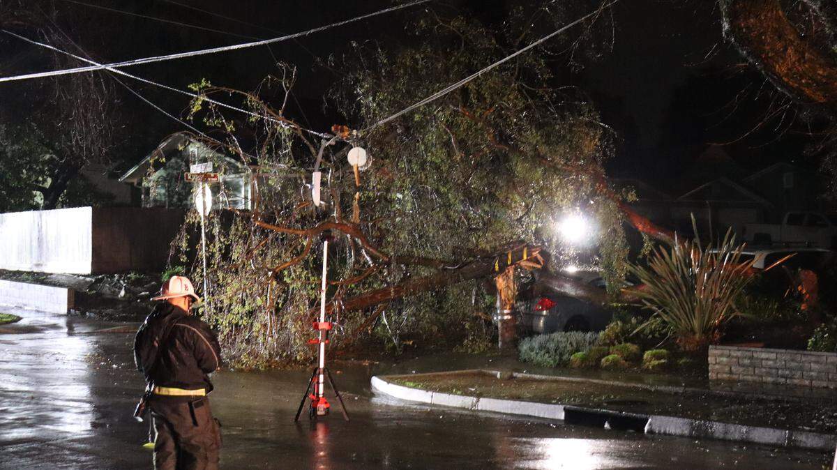 A tree fell into a power pole at Branch and King streets in San Luis Obispo on Feb. 17, 2026, as a severe thunderstorm hit the Central Coast.
