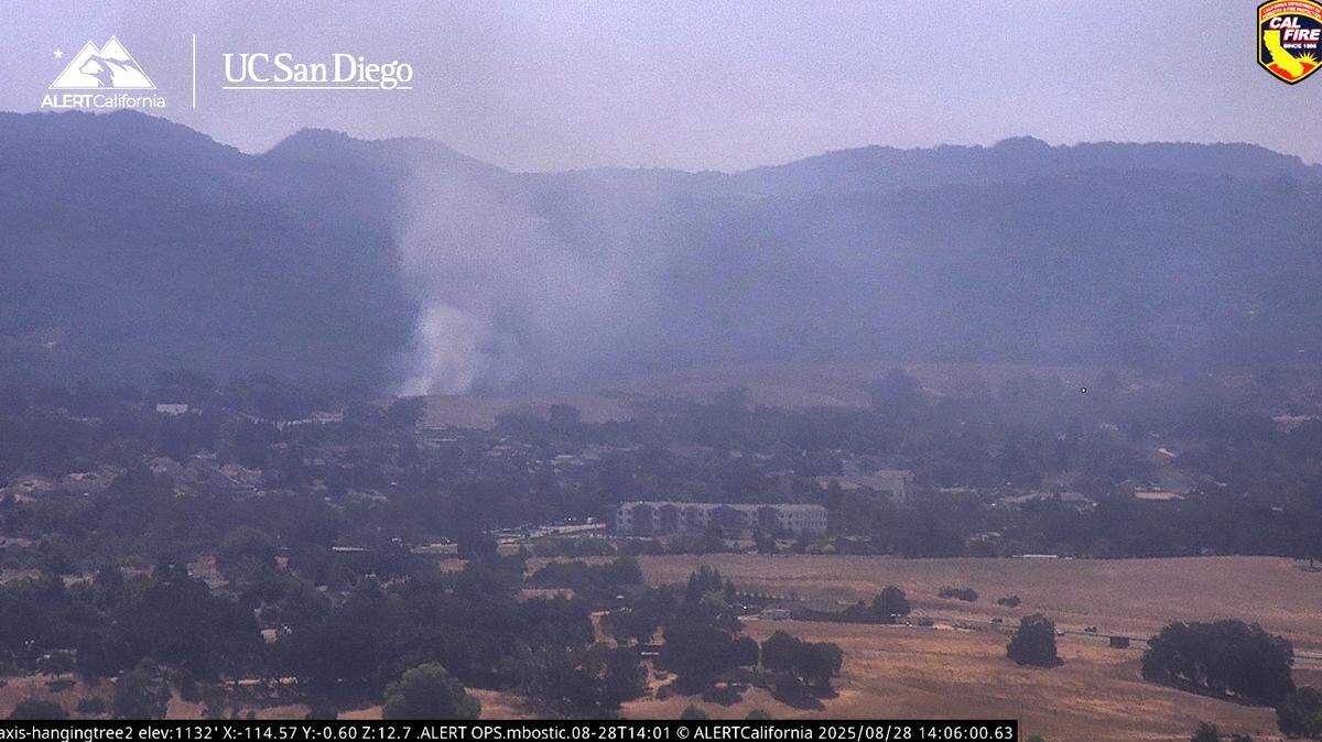 A vegetation fire sparked near Vineyard Elementary School in Templeton on Aug. 28, 2025.