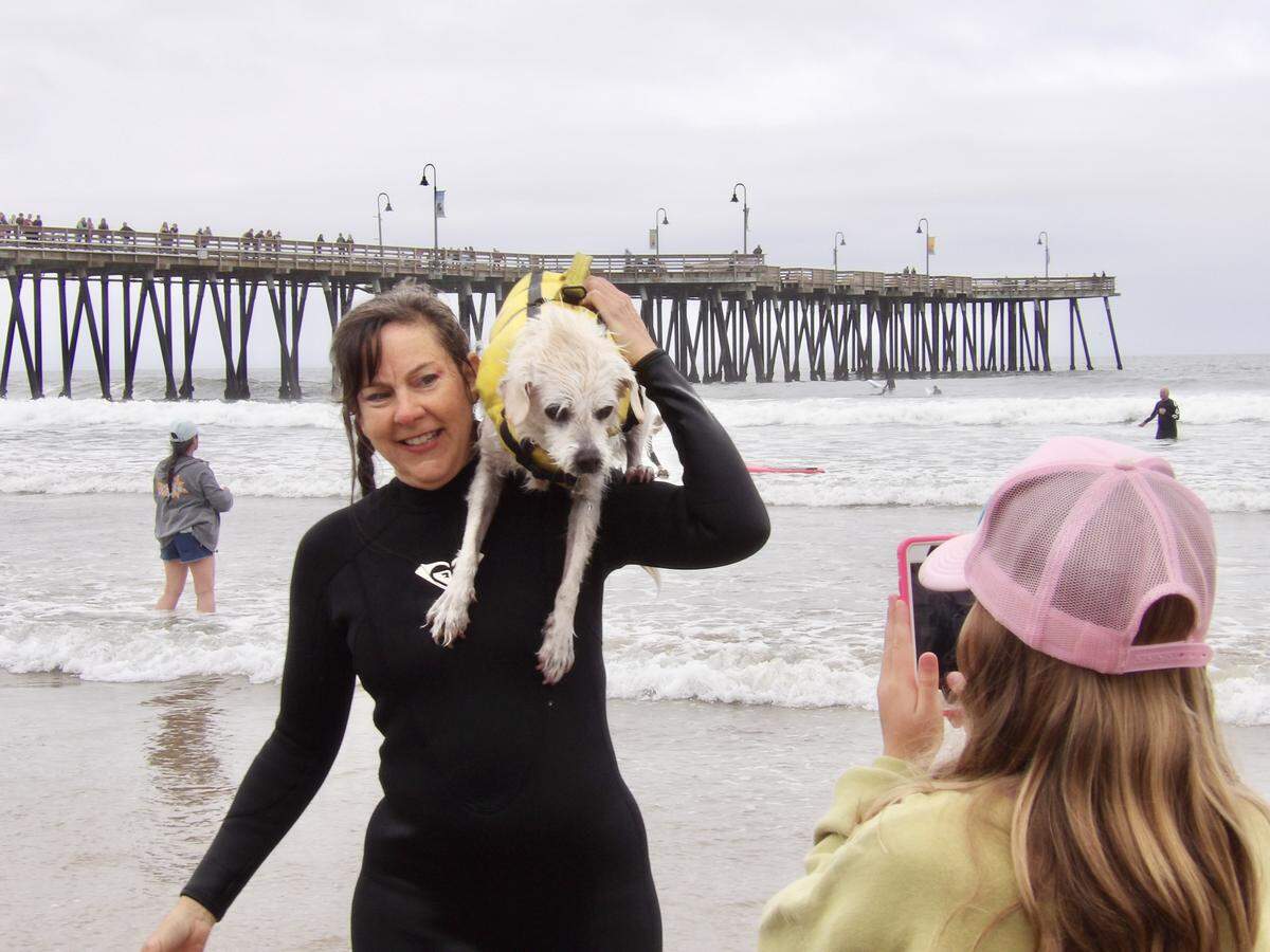 The World Dog Surfing Championships Exhibition Tour took over Pismo Beach on May 2, 2026, bringing together professional and local dog surf teams to showcase their skills.