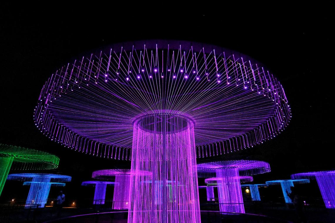 Sensorio’s new FOSO exhibit, designed by artist Bruce Munro, combines light, music and nature to create an immersive, orchestral experience in Paso Robles.