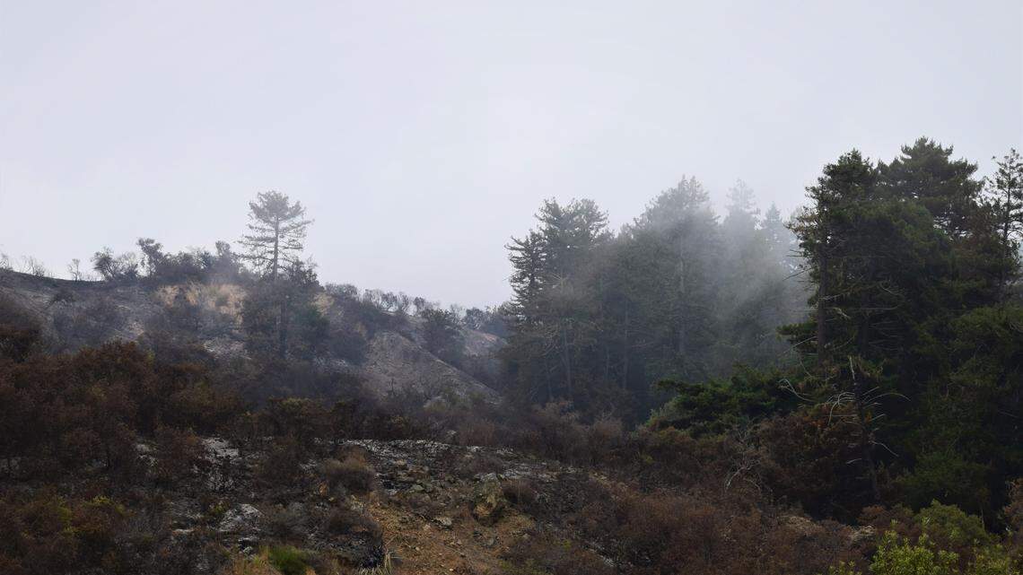 SLO County had dense fog and heavy smoke for days. Why was September so cloudy?