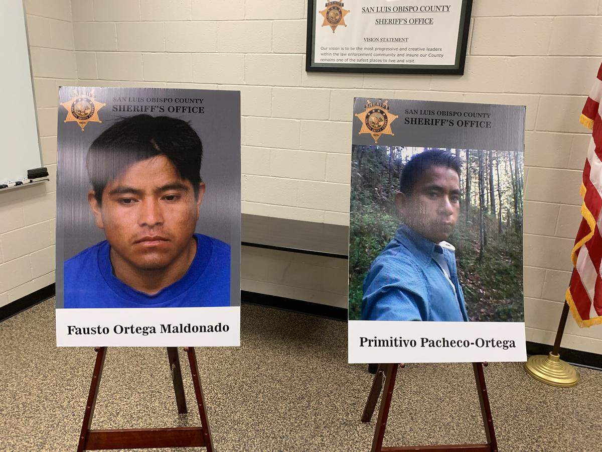 Fausto Ortega Maldonado, 28, photo left, was arrested on suspicion of murder after Primitivo Pacheco Ortega was found dead with multiple stab wounds last month.