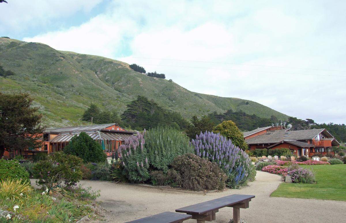 Ragged Point Inn sits on an almost 9-acre bluff terrace about 300 feet above the Pacific Ocean. The inn, its gardens, lawn areas, gazebo and restaurant at 19019 Cabrillo Highway, Ragged Point, California, are an iconic stop near the southern end of the Big Sur Highway, a steep, narrow, curving roadway that’s an international draw for visitors and residents alike.