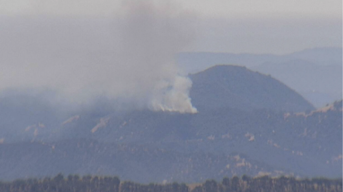 Firefighters responded Sunday afternoon to a vegetation fire that broke out in the rugged Tepusquet Canyon area east of Santa Maria.