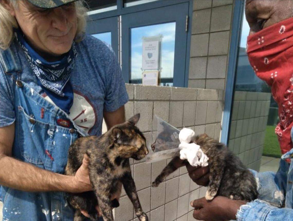 Rescued kitten Bella is reunited with her mother and her owner at an animal shelter in Napa County after surviving the Glass Fire.