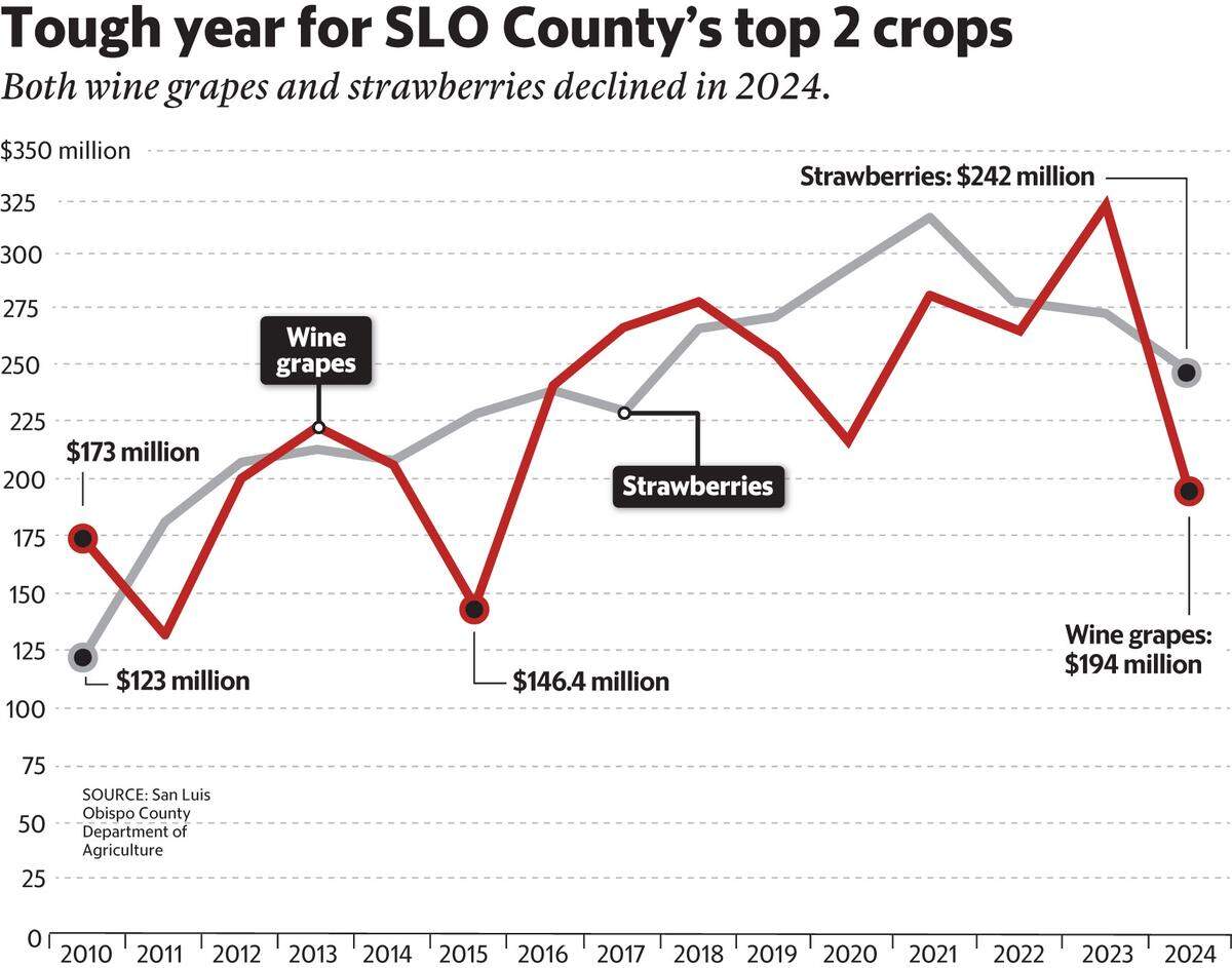 How the values of wine grapes and strawberries have changed in SLO County since 2010.