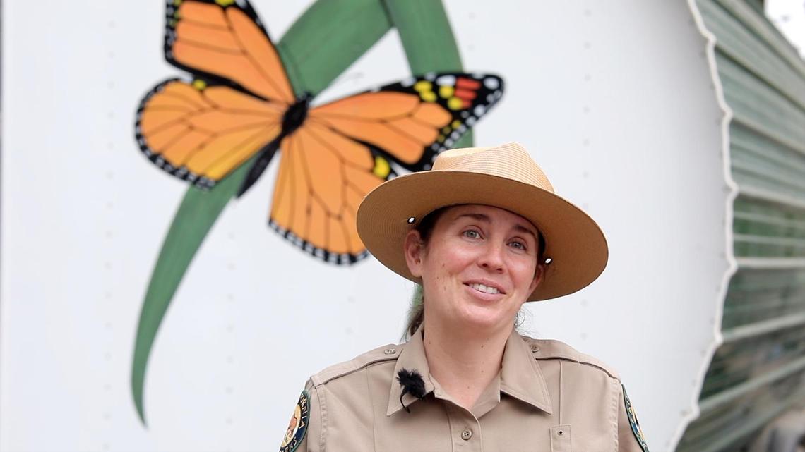 Danielle Bronson with California State Parks cried tears of joy when she heard the monarch numbers this week. More monarch butterflies returned to Pismo Beach this year than in the previous two years combined. The two previous years were among the worst population count years on record.