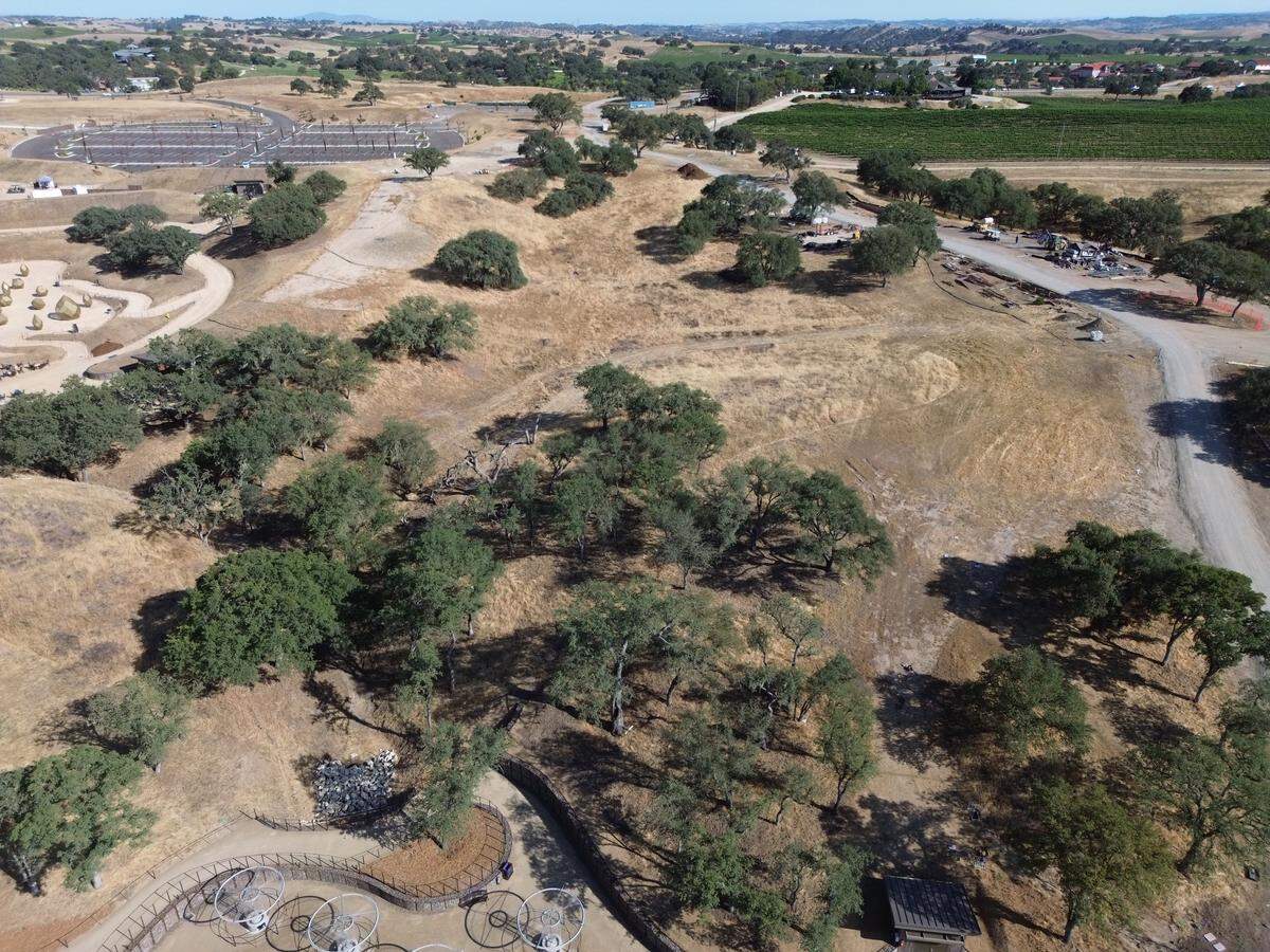 Sensorio in Paso Robles is looking to add five new art installations in areas around its existing exhibits and has put out an international call for proposals.