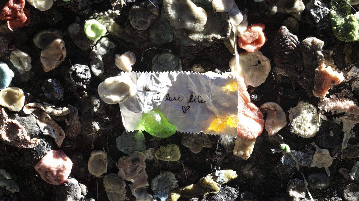 Bubble Gum Alley featuring a wrapper saying, “I love life,” in downtown San Luis Obispo on Oct. 27, 2025.