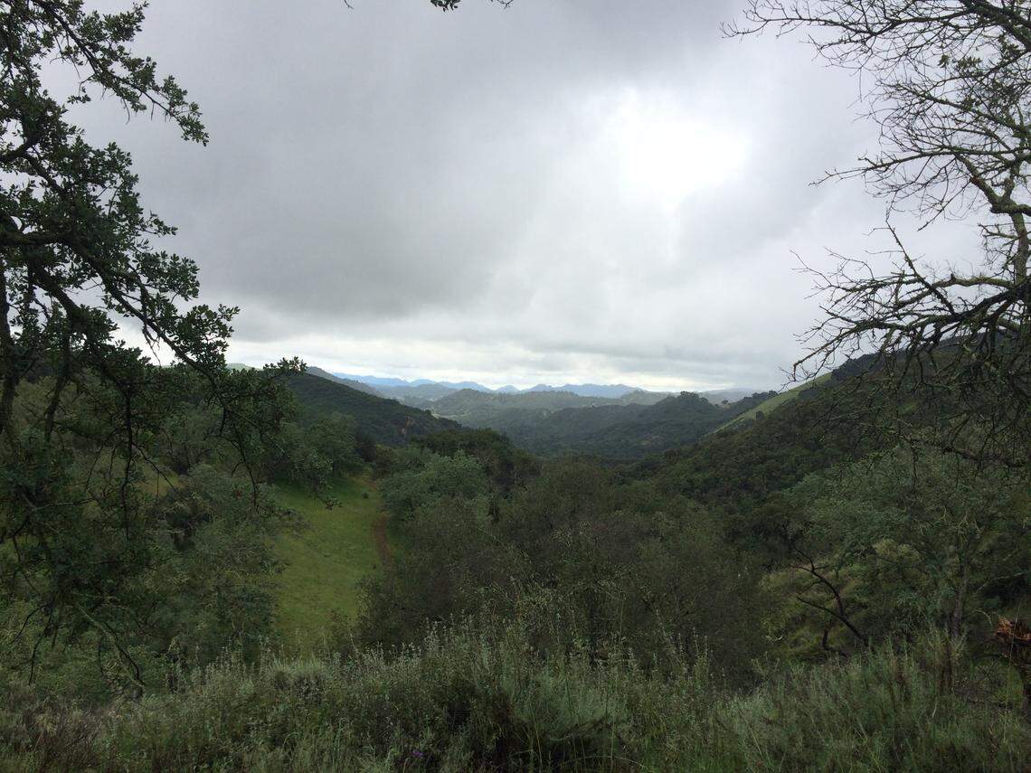 A view of land that The Wilderness Land acquired and then transferred to the United States Forest Service that is now part of the Los Padres National Forest around Trout Creek in San Luis Obispo County.