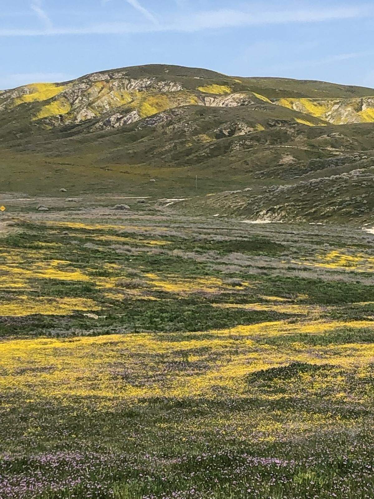 Doug Garland shot this picture of wildflowers at Carrizo Plain National Monument on Wednesday, April 12, 2023.