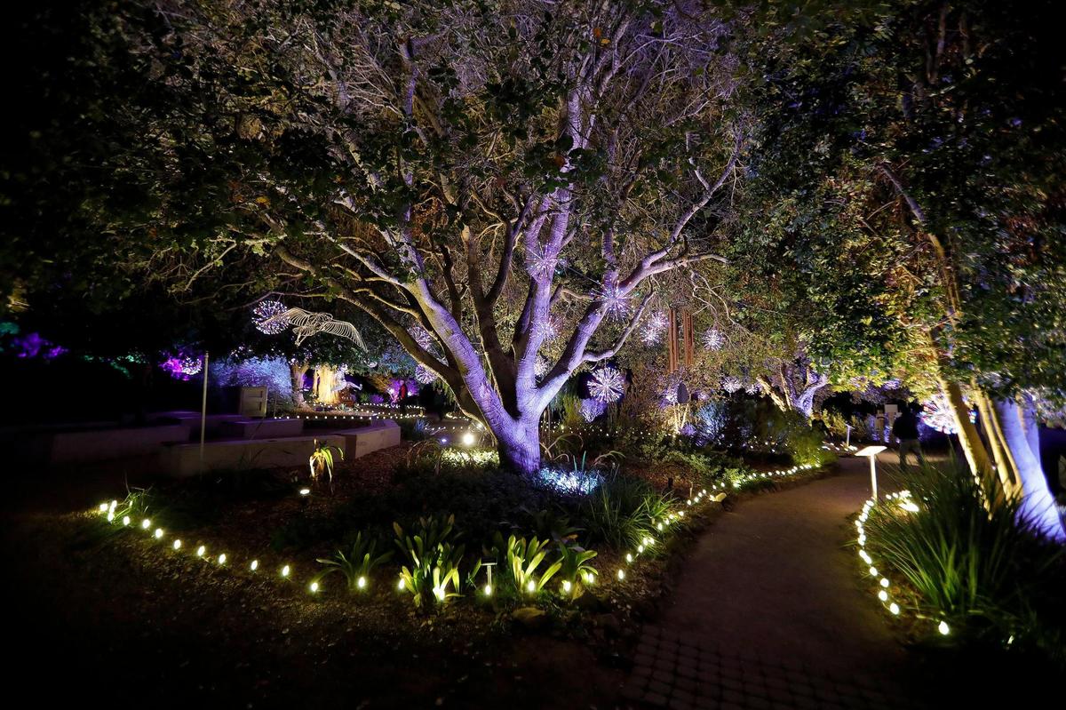 The SLO Botanical Garden has a new event called Nature Night. People can walk through an immersive outdoor holiday light and art exhibit, enjoy hot food and beverages.