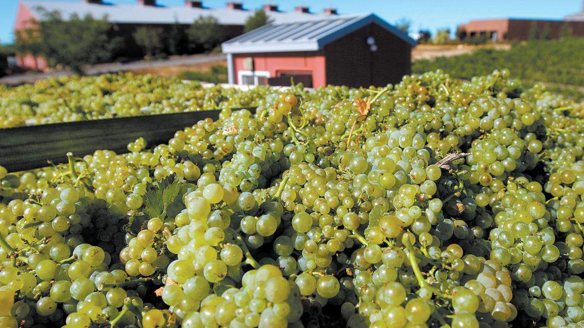 Paso Robles wine country: An introduction