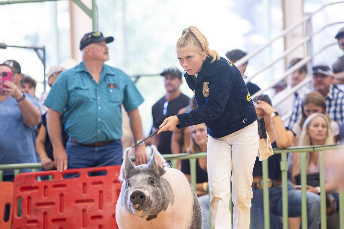 Karis Dadson competes during a swine showmanship event at the Mid-State Fair in Paso Robles in 2024.