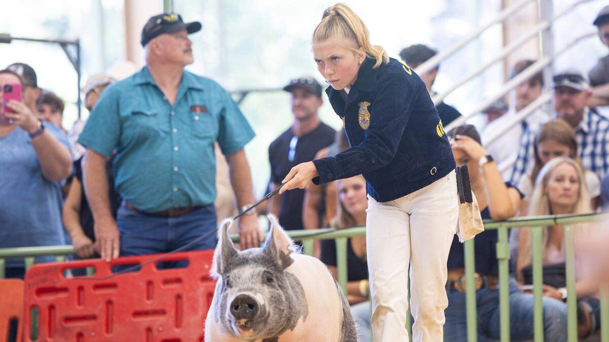 Karis Dadson competes during a swine showmanship event at the Mid-State Fair in Paso Robles in 2024.